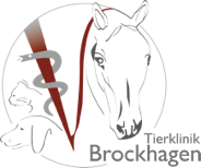 Logo Pferdeklinik & Kleintierpraxis Brockhagen